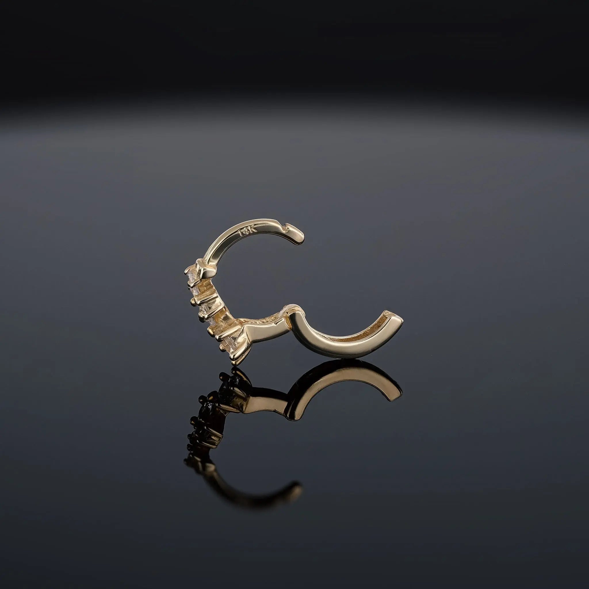 BEATTI Hoops Ami 14K Gold Multi CZ Hoop Earring Ami 14K Gold Multi CZ Hoop Earring