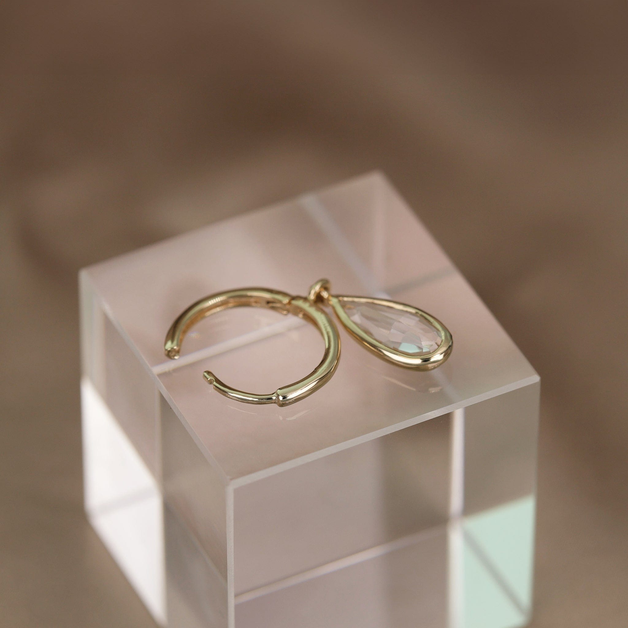 Iris • Charm Drop Hoop Earrings Earring