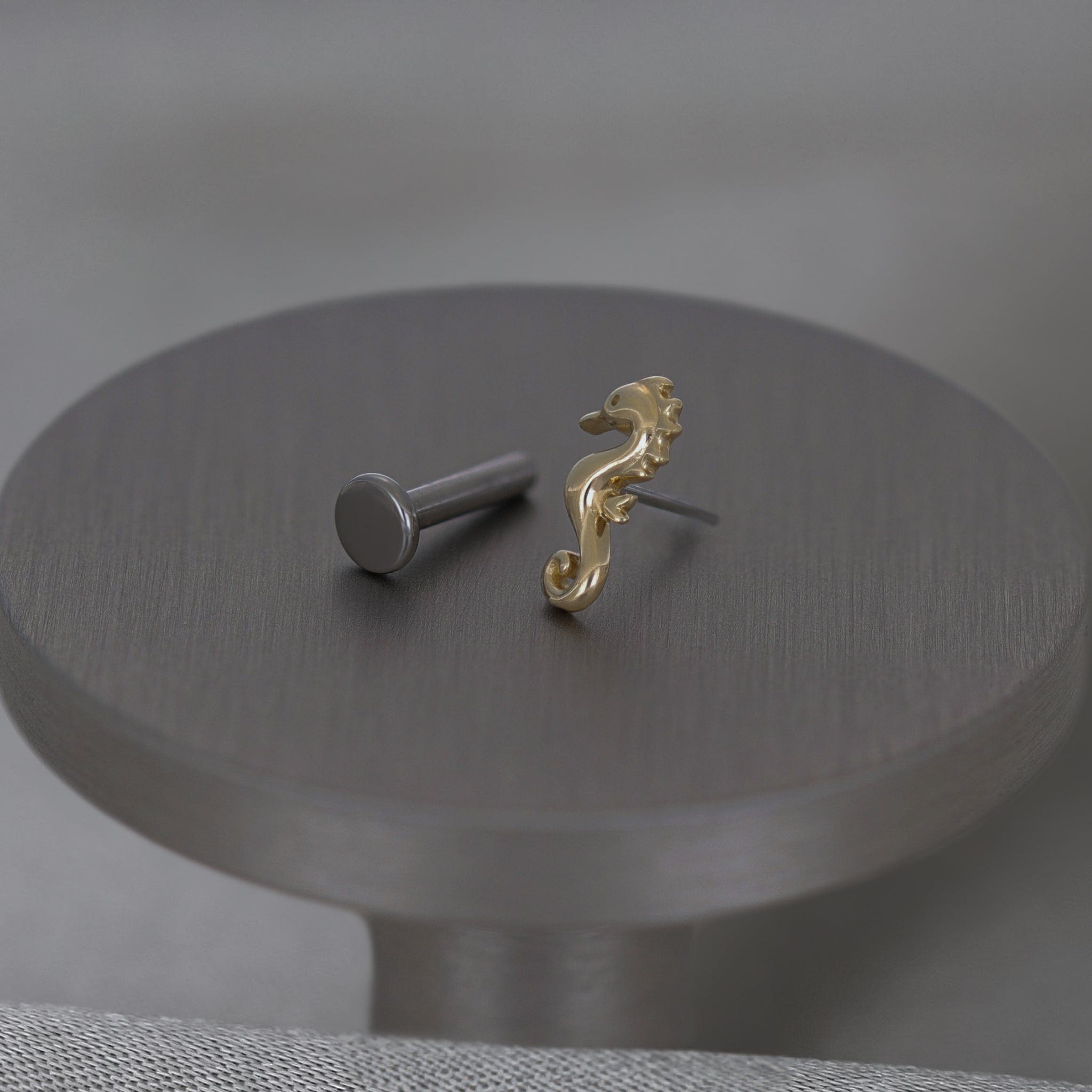 BEATTI Threadless Ends 14K Solid Gold Tiny Seahorse Flat Back Earring 14K Solid Gold Tiny Seahorse Flat Back Earring