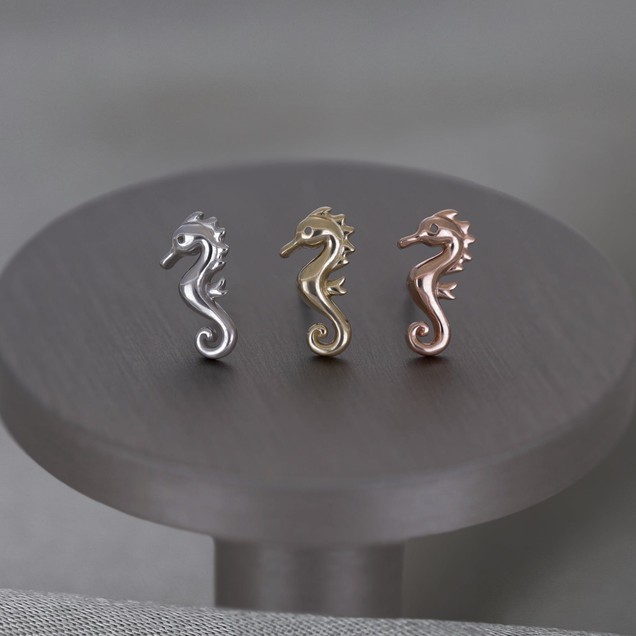 BEATTI Threadless Ends 14K Solid Gold Tiny Seahorse Flat Back Earring 14K Solid Gold Tiny Seahorse Flat Back Earring