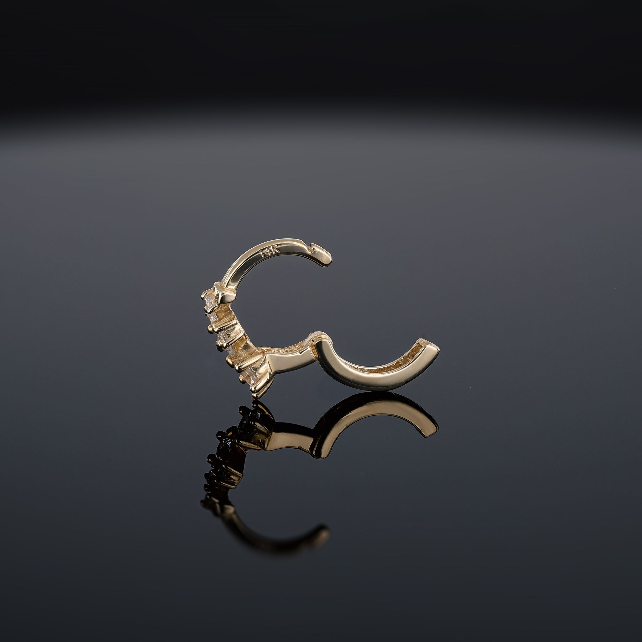 Ami 14K Gold Multi CZ Hoop Earring