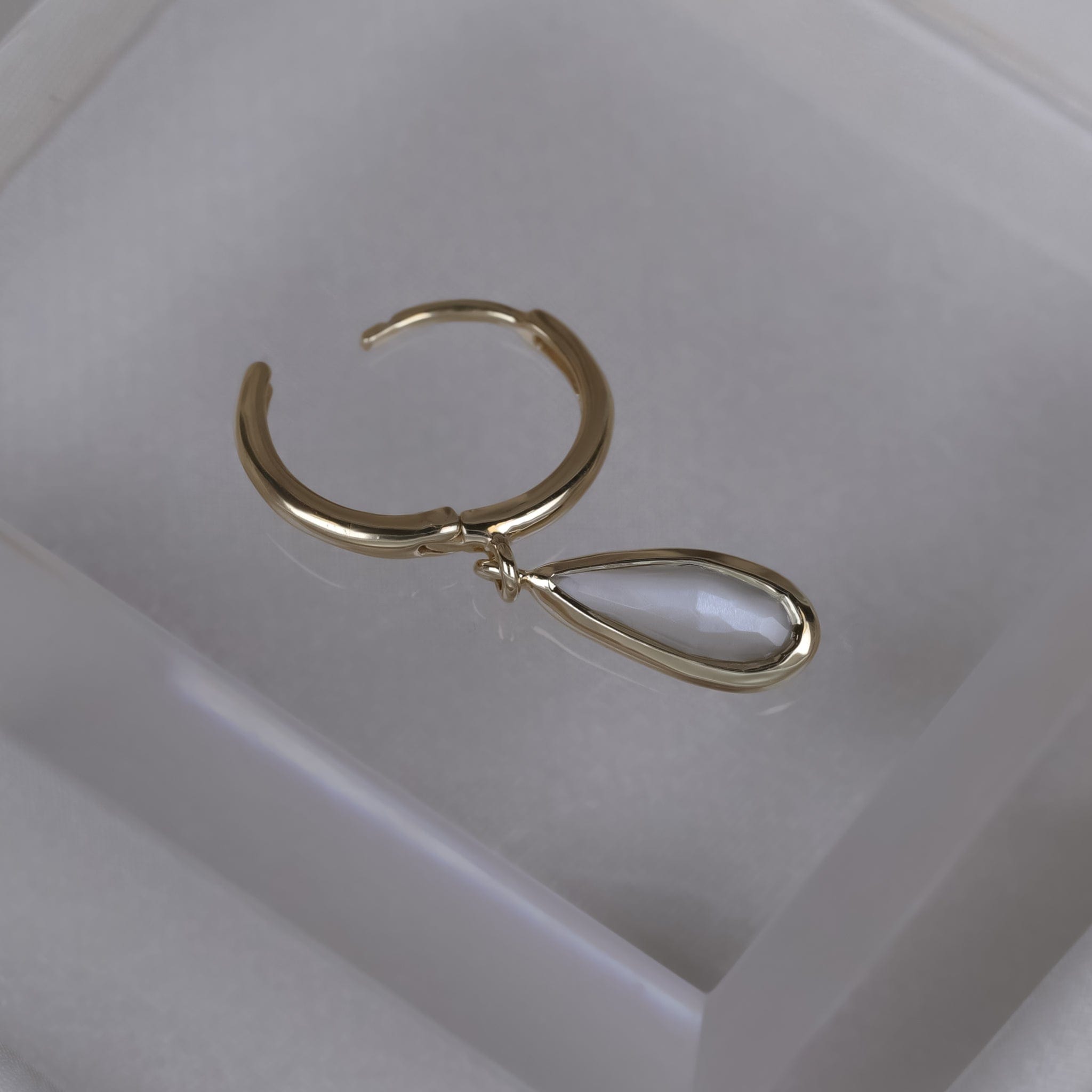 Iris • Charm Drop Hoop Earrings Earring