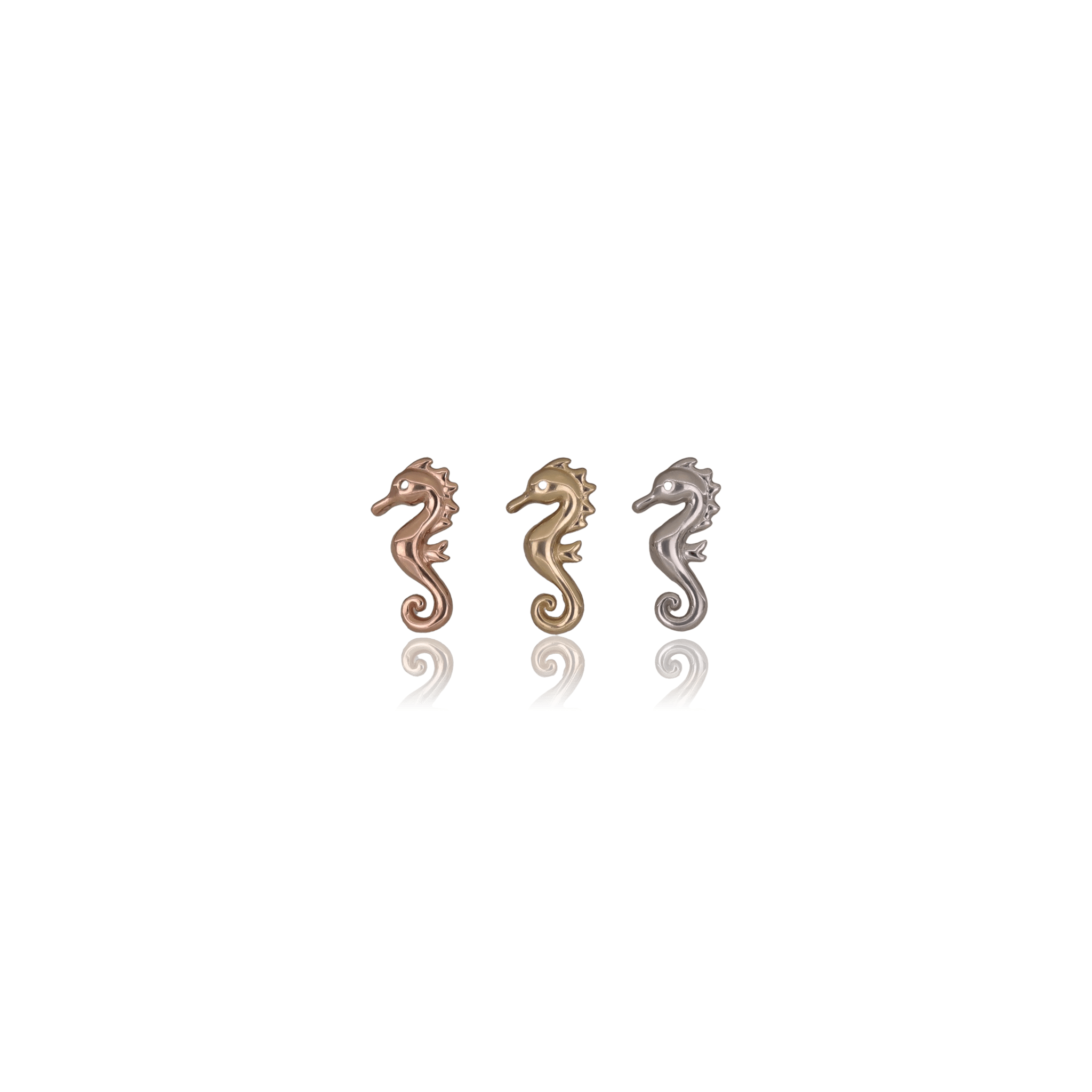 BEATTI Threadless Ends 14K Solid Gold Tiny Seahorse Flat Back Earring 14K Solid Gold Tiny Seahorse Flat Back Earring