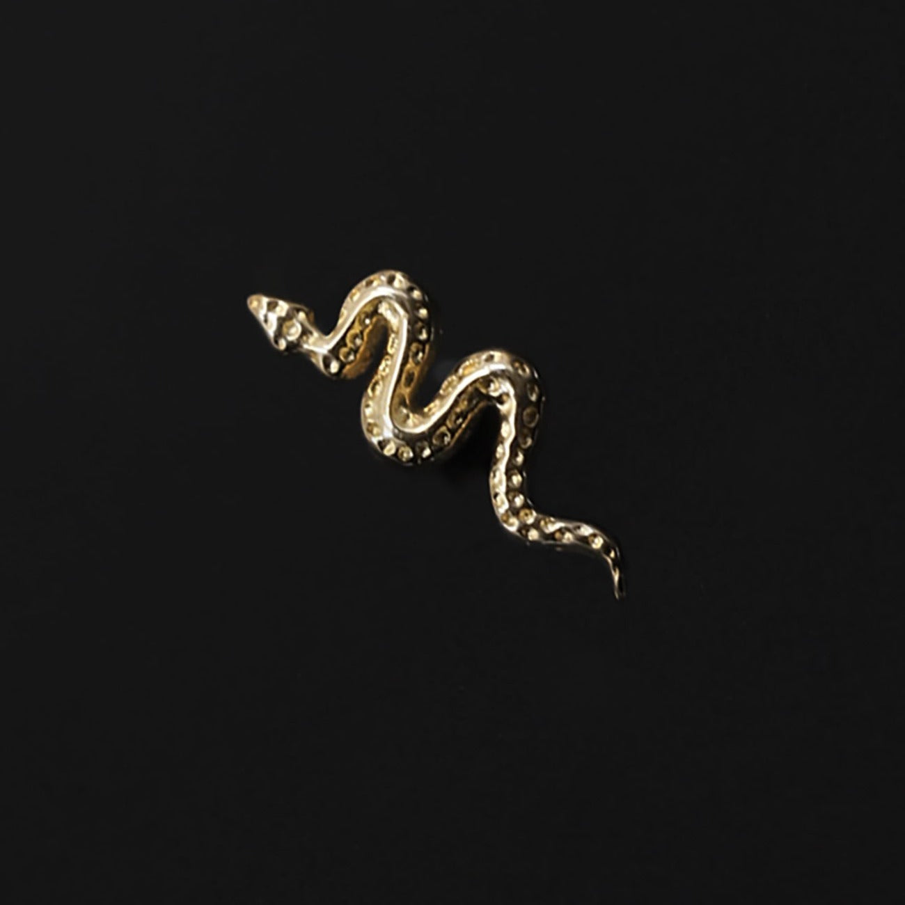 Tiny 14K Gold Snake Labret - BEATTI